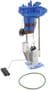 Delphi Automotive Fuel Pump Module Assembly