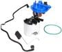 Delphi Automotive Fuel Pump Module Assembly