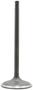 DNJ Engine Components Intake Valve