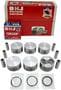 DNJ Engine Components Piston Set