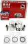DNJ Engine Components Piston Set