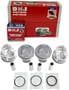 DNJ Engine Components Piston Set