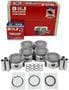 DNJ Engine Components Piston Set