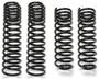Fabtech Coil Spring Kit