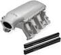 Holley Intake Manifold