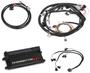 Holley EFI ECU Kit