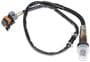 Holley EFI Oxygen Sensor