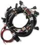 Holley EFI Engine Harness