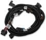 Holley EFI Engine Harness