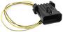 Holley EFI Ignition Harness
