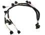 Holley EFI Ignition Harness