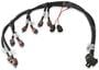 Holley EFI Control Module Harness