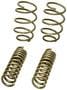 Hurst Coil Spring Kit