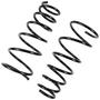 Import Direct Coil Spring Set