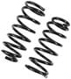 Import Direct Coil Spring Set