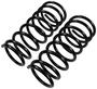 Import Direct Coil Spring Set