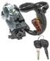 LockSmart Black, Gray Ignition Switch
