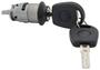 LockSmart Black, Gray Ignition Lock Cylinder