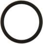 MAHLE Coolant Pipe O-Ring