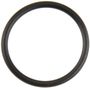 MAHLE Coolant Pipe O-Ring