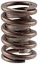 Melling Select Performance Valve Spring