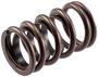 Melling Select Performance Valve Spring