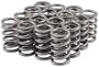 Melling Select Performance Valve Spring Kit