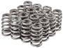 Melling Valve Spring Kit