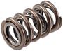 Melling Select Performance Valve Spring