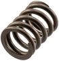 Melling Valve Spring
