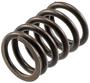 Melling Valve Spring