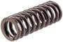 Melling Valve Spring