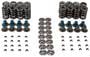 Melling Valve Spring Kit