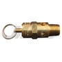 Milton Industries ASME Safety Valve