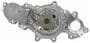 Motorcraft Water Pump