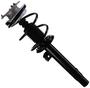MasterPro Strut And Coil Spring Assembly