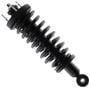 MasterPro Strut And Coil Spring Assembly