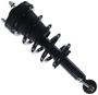 MasterPro Strut Assemblies Strut And Coil Spring Assembly