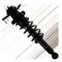 MasterPro Strut And Coil Spring Assembly