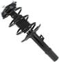 MasterPro Strut And Coil Spring Assembly