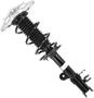 MasterPro Strut And Coil Spring Assembly