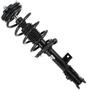 MasterPro Strut And Coil Spring Assembly