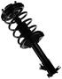 MasterPro Strut And Coil Spring Assembly