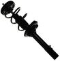 MasterPro Strut And Coil Spring Assembly