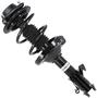 MasterPro Strut And Coil Spring Assembly
