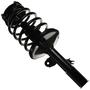 MasterPro Strut And Coil Spring Assembly