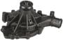 Murray Temperature Control Water Pump - New