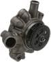 Murray Temperature Control Water Pump - New