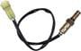 NTK Oxygen Sensor