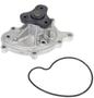 Import Direct Water Pump - New